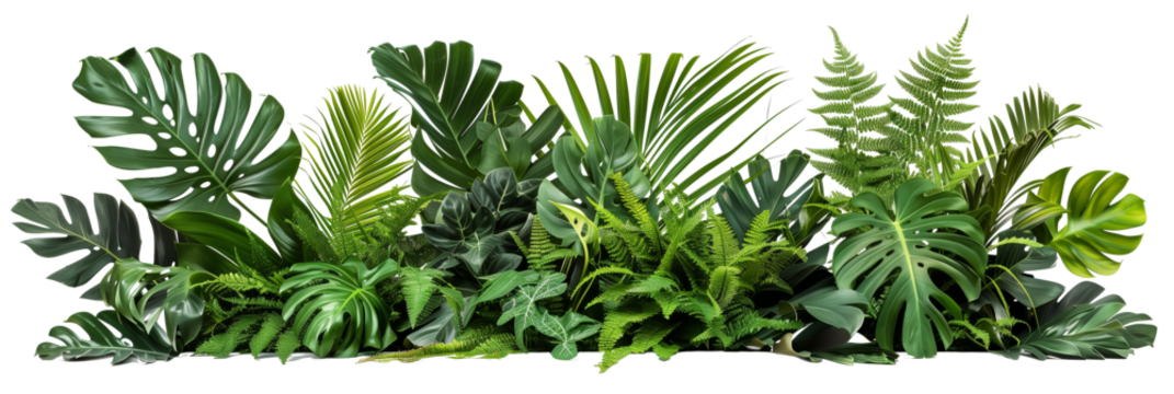 Beautiful composition with fern and other tropical leaves on white background. Banner design