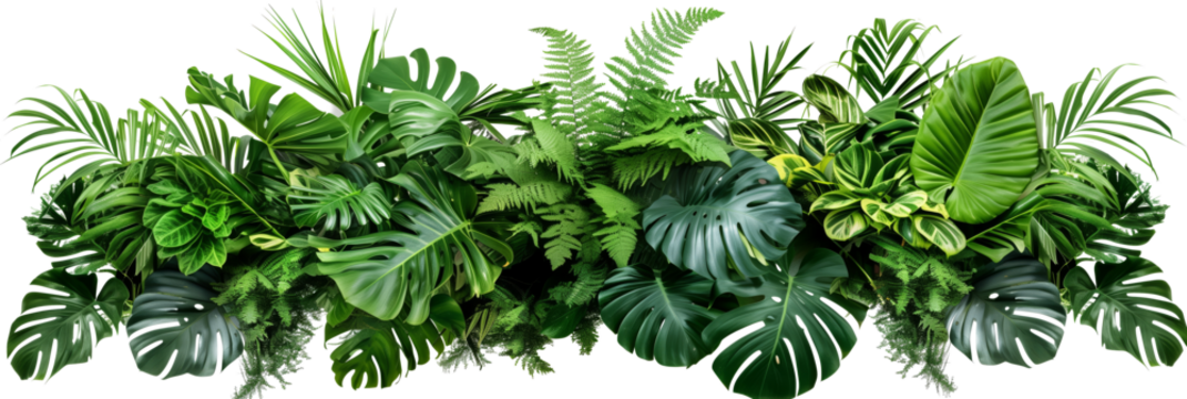 Tropical leaves foliage plant bush floral arrangement nature backdrop isolated on white background
