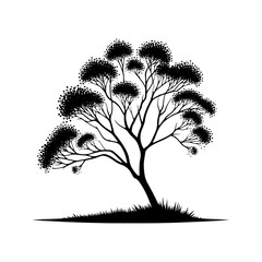 Obraz premium Black Vector Alder Tree Silhouette Against the Sky's Canvas, Nature's Artistry Unveiled- Alder Tree Illustration- Alder Tree vector stock.
