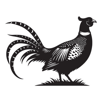recommend clip art: pheasant silhouette vector illustration