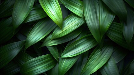 Elegant Bamboo Canopy. A Seamless Background of Dark Green Bamboo Leaves, Shot from Above to Highlight their Natural Beauty.