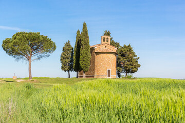 Chapel on a hill with cypress trees at a cornfield