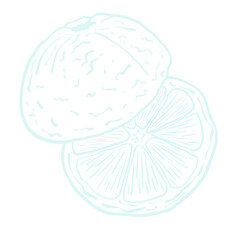 Elements illustration food color vegetable painting drawing 