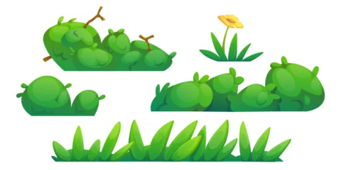 Deurstickers Grass, bushes and flowers border. Cartoon vector illustration set of spring or summer field and garden decoration elements. Green vegetation for springtime or Easter design. Meadow and lawn plants. © klyaksun