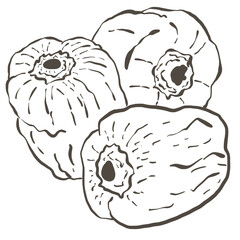 Elements illustration food color vegetable painting drawing 