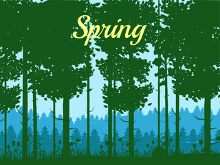 Spring forest landscape, green foliage