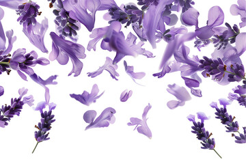 A purple floral pattern with petlas flowers on a transparent background
