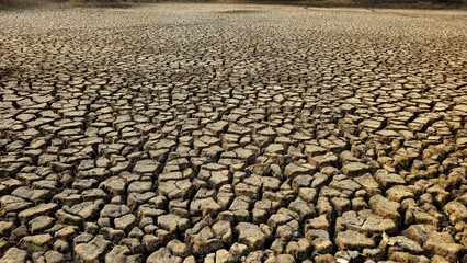 Dry creaked soil land. background and texture of dry land. climate change concept image.
