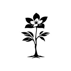 Night's Bloom: Black Vector Dogwood Tree Silhouette, Nature's Floral Tapestry Unveiled Under Moonlight- Dogwood Illustration- Dogwood Vector Stock