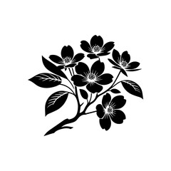 Night's Bloom: Black Vector Dogwood Tree Silhouette, Nature's Floral Tapestry Unveiled Under Moonlight- Dogwood Illustration- Dogwood Vector Stock