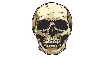 Vector Cartoon Skull Face Isolated On White background