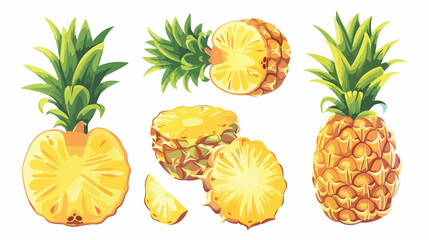 Vector Illustration Fruits Of Pineapple Hand drawn st