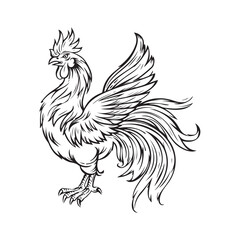 Rooster Mascot Stock Illustrations. Rooster isolated on white