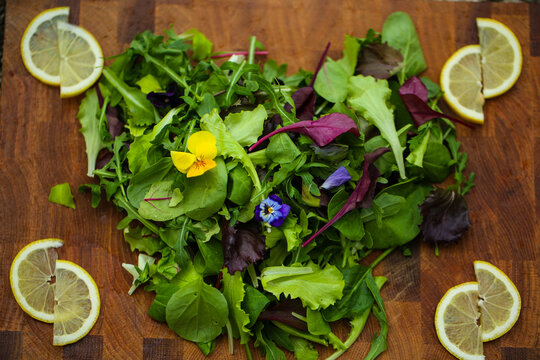 Lettuce heart with flower lettuce on wooden background