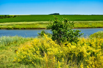 Fototapeta na wymiar Summer state of nature in rural areas of Ukraine.