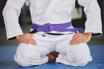 Martial arts, fitness and person kneeling in gym for training, uniform and professional fighting...