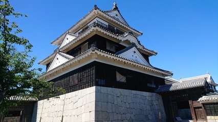 Fototapeta premium 松山城