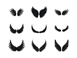 Fototapeta na wymiar Black wings icon set. Wings icons. Collection badges of wings. Bird wings, angel wings elements. Vector illustration