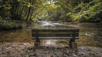 Bench situated next to Sweetwater Creek