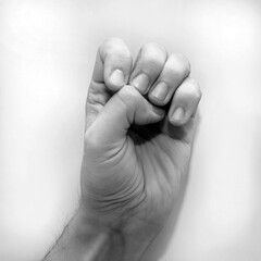 Letter E in American Sign Language (ASL) for deaf people, black and white monochrome photo of a hand