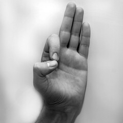 Letter F in American Sign Language (ASL) for deaf people, black and white monochrome photo of a hand