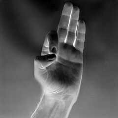 Letter F in American Sign Language (ASL), negative black and white photo