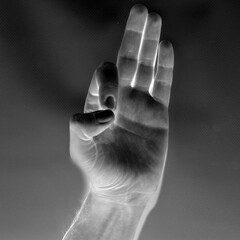 Letter F in American Sign Language (ASL), negative black and white photo