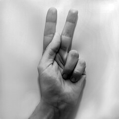 Letter K in American Sign Language (ASL) for deaf people, black and white photo of a hand