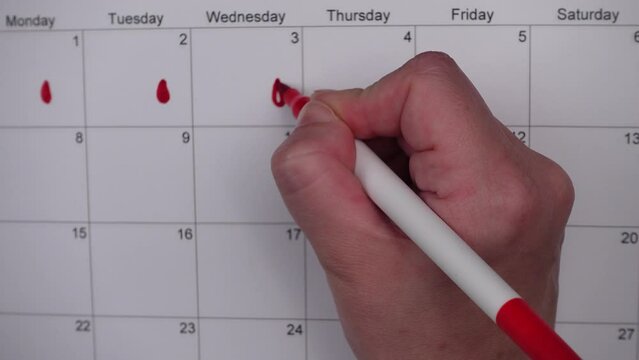 Hand draws red drops on the calendar, then places a red checkmark in a circle - concept of menstrual cycle tracking, ovulation, and pregnancy planning