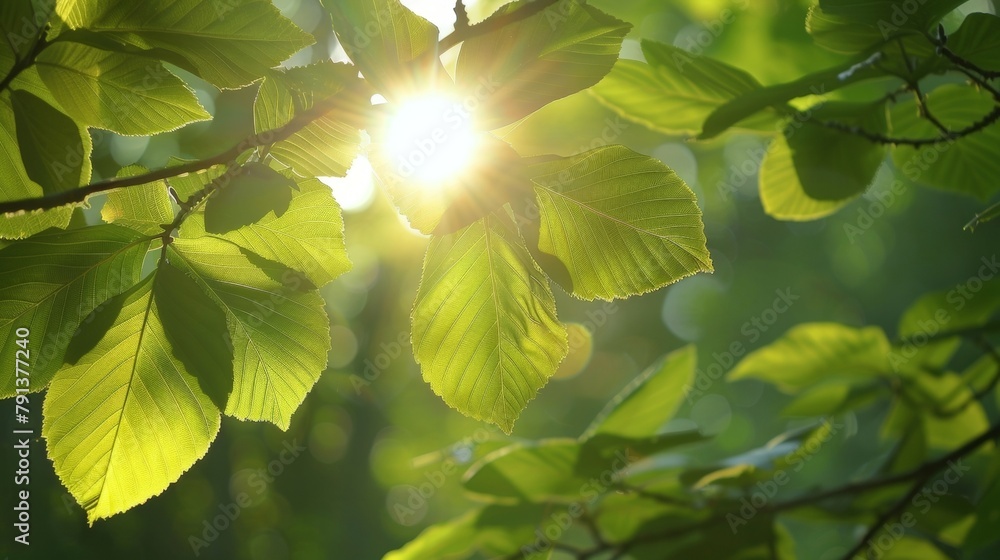 Poster wake up to the soft rays of sunlight filtering through the leaves signaling the start of a new day i