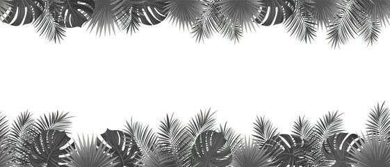 Amazon tropical leaves seamless pattern. vector illustration. Rainforest foliage template border frame. Jungle amazonian plants repeated banner. Black tropic coconut palm leaf repeated background. © nataliesezam