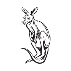 Kangaroo illustration On white Background