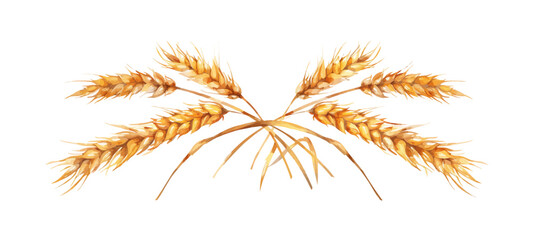 Fototapeta premium Wheat bread ears cereal crop. vector simple illustration