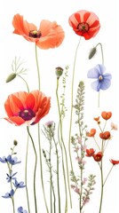 Fototapeta premium Flat lay view of various pressed colorful flowers and green leaves artistically arranged on a clean white background, perfect for crafting and decor.