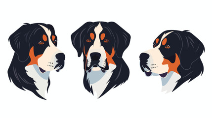 Sennenhunds breed Swiss mountain dog avatar. Cute pup