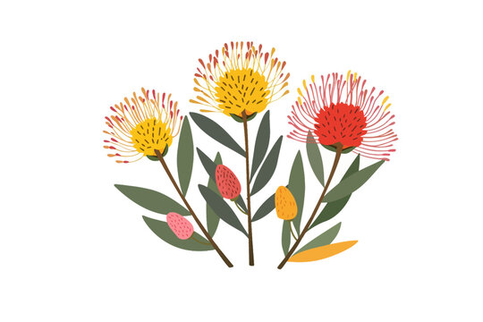 Colorful Pincushion Protea Flower. Vector illustration design.