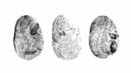 Fotobehang Set of Four fingerprints of various types isolated on © Ideas