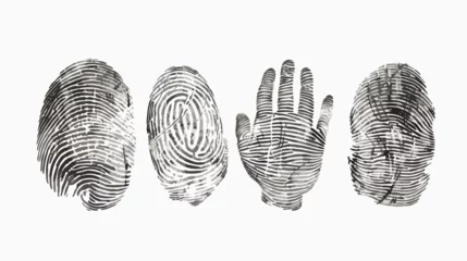 Fotobehang Set of Four fingerprints of various types isolated on © Ideas
