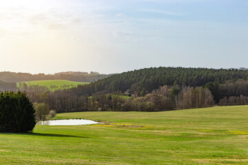 Idyllic landscape with green meadows and blooming trees. - obrazy, fototapety, plakaty