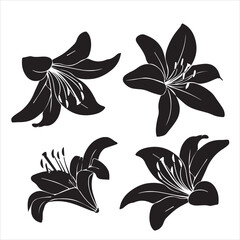 flower stencil, print, flower on a white background, flower silhouette., sticker, flower shadow
