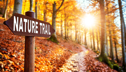 Close-up of a wooden directional sign with text Nature Trail, in the background a blurred trekking footpath in autumn with beech trees, dry leaves with autumn leaves color. Generative Ai. - obrazy, fototapety, plakaty