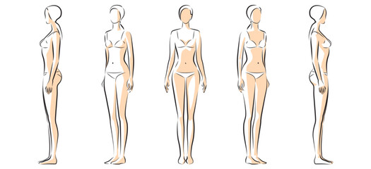 Woman body. Full-length standing portrait. Set of body-positive female. Five angles figure front, 3 of 4, side views shape. Vector fashion silhouette outline line illustration