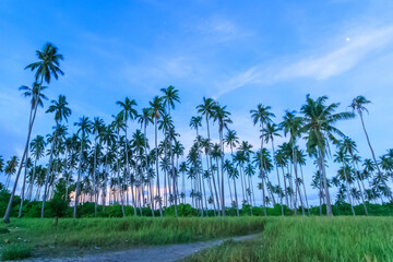 Landscape view borneo sea gypsy water village in Mabul Maiga Island, Malaysia.