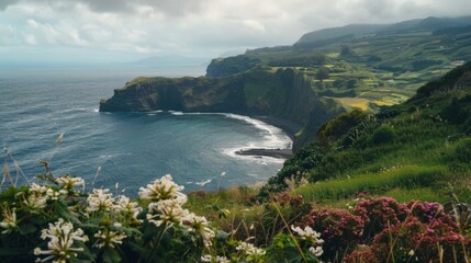 Fototapeta premium Wildflowers bloom on seaside cliff