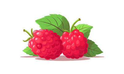 Raspberry vector flat minimalistic isolated vector style illustration