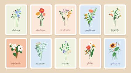 Floral card backgrounds set. Delicate spring flowers. summer wildflowers. Botanical framed poster design. Gentle blooms, blossomed flora, vertical postcards. Modern natural flat vector illustration - obrazy, fototapety, plakaty