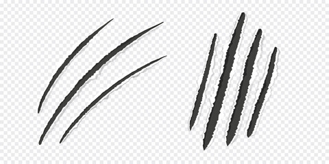 Scratch mark claw trace wild animal nails scratches textured torn paper edge on transparent background. Fancy cat, tiger, lion paw trace © Alyona