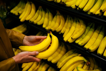 Hands of woman buying fresh yellow bananas from supermarket