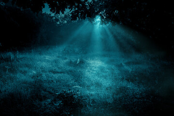 Mysterious moonlight through the fog and tree branches over dreamy grass meadow in the autumn...