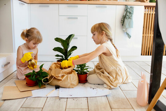 Sisters planting plants sitting in kitchen at home